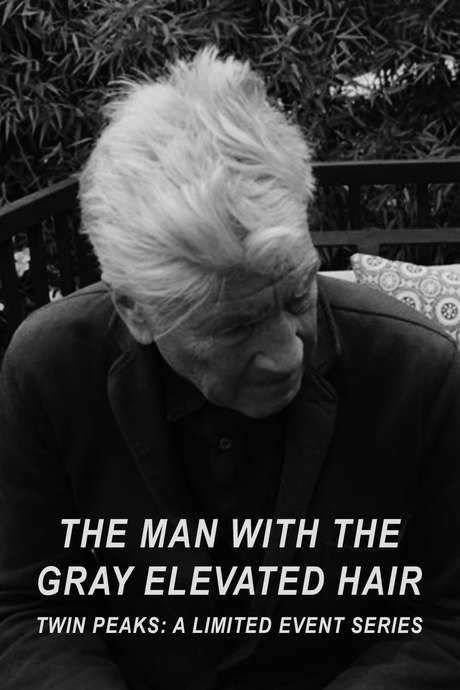 The Man with the Gray Elevated Hair